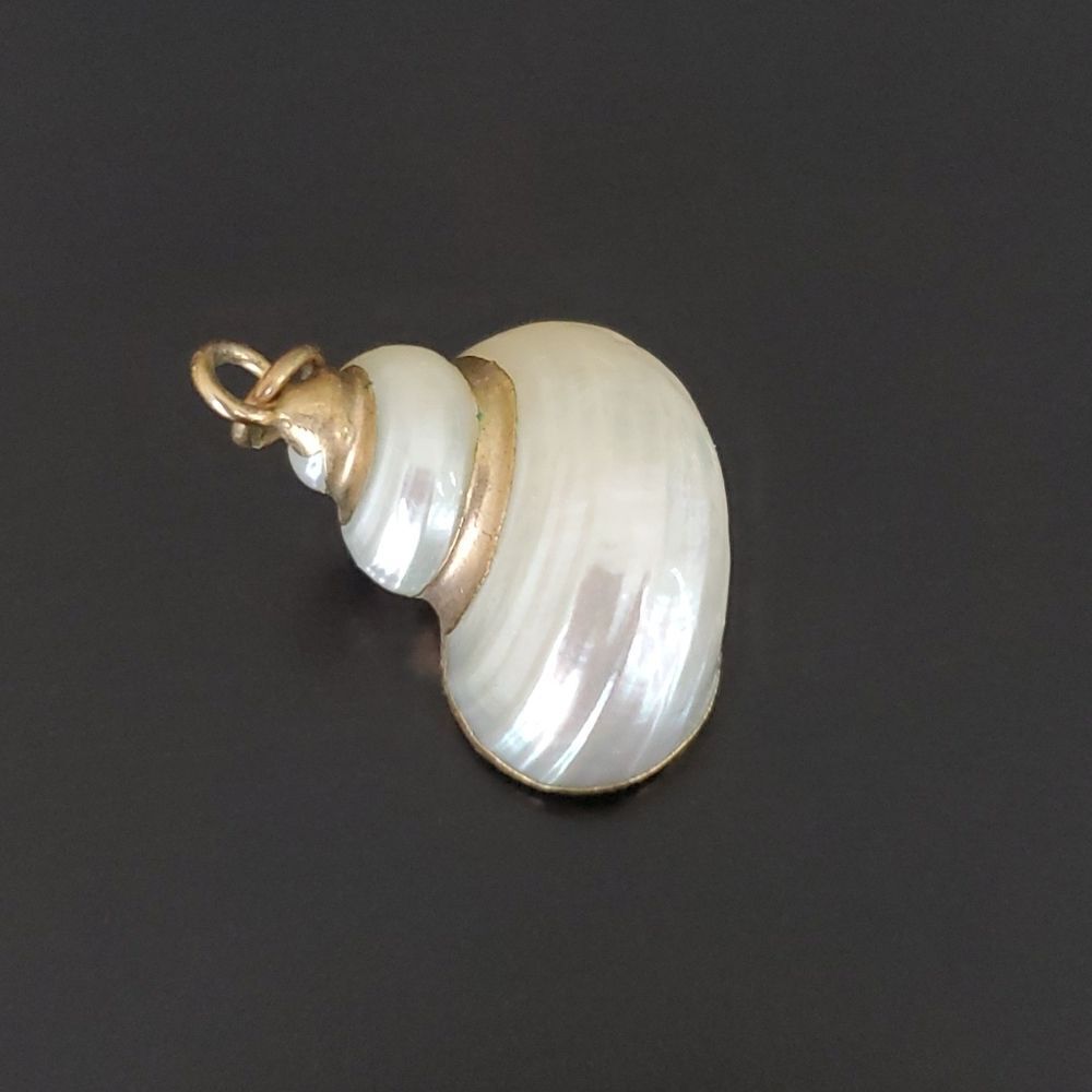 Shell, gold necklace charm.Pearl tone real sea shell 🐚 conch